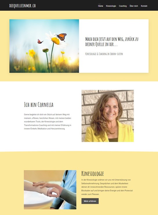 Screenshot Website diequelleinmir.ch